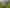 115D Omaunu Road, Kaeo