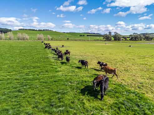 1353 Waimate Highway, Otaio