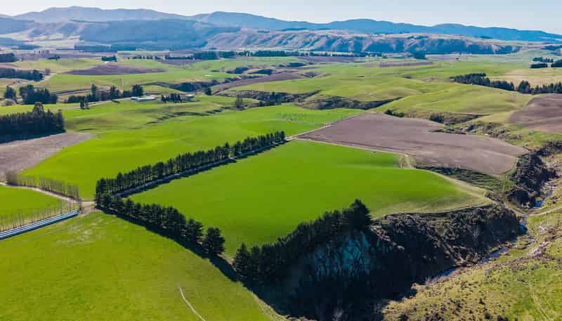 467 Waihaorunga Back Road, WAIMATE