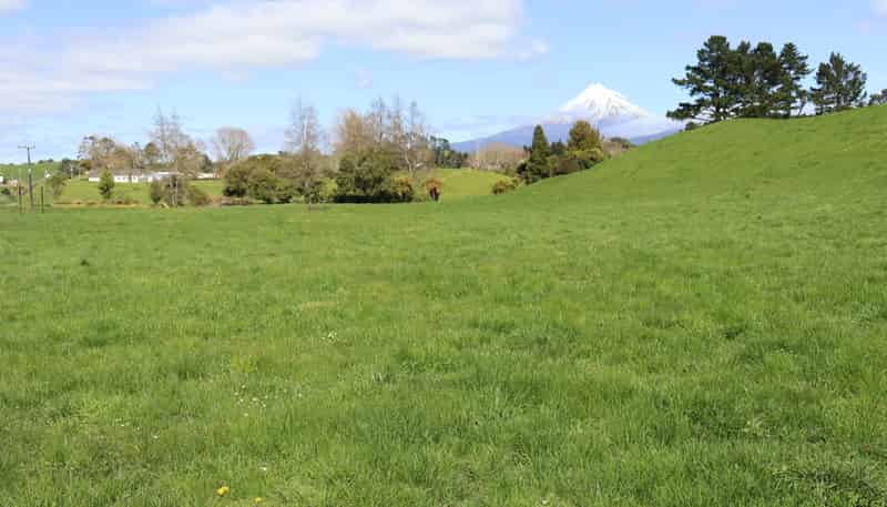 688 Junction Road, New Plymouth Central