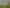 1074 Tennent Drive, Linton