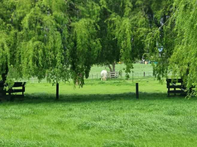 68C Papaitonga Lake Road, Ohau