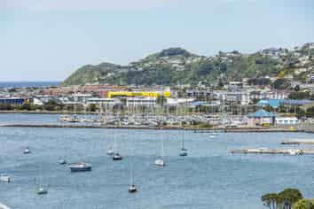 33A Treasure Grove, Hataitai