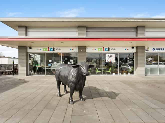 Cafe business for sale in bustling Bulls