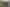 Wellington - Address withheld