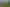 12 Harsant Avenue, Hahei