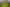 12 Harsant Avenue, Hahei