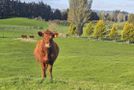 94 Oturoa Road, Hamurana, Rotorua, Bay of Plenty