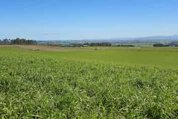 169 Charters Road, Waikoikoi