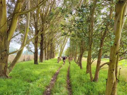 48 Gardiners Road, Starvation Hill, Oxford