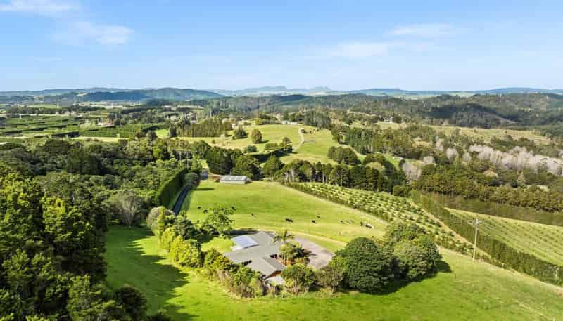 39 Elmsley Road, Maungatapere