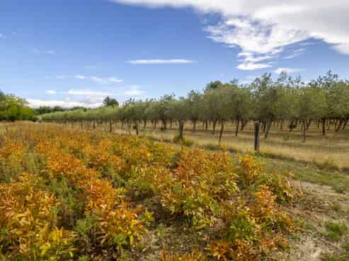 83 Boundary Road, Upper Plain