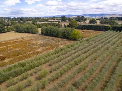 83 Boundary Road, Upper Plain