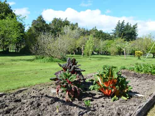 83 Boundary Road, Upper Plain