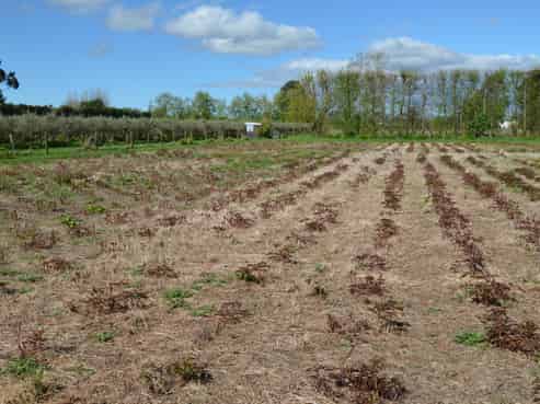 83 Boundary Road, Upper Plain