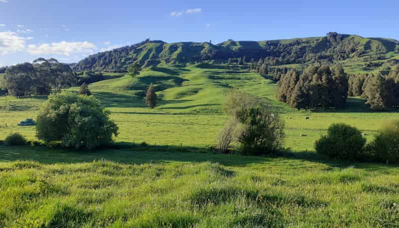 25 Pukenui Road, Te Kuiti