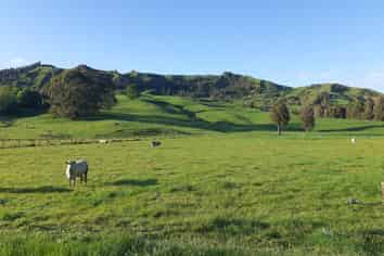 25 Pukenui Road, Te Kuiti
