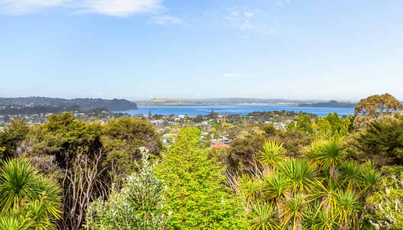 326 Titirangi Road, Titirangi