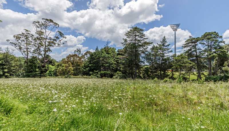 178 Dairy Flat Highway, Albany