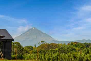 1 Huamatangi Way, Vogeltown