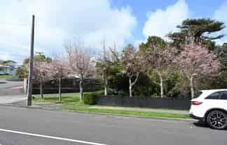 72 Gilbert Street, New Plymouth