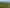 Auckland - Address withheld