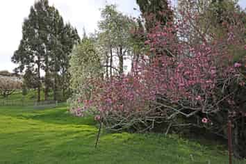 Lot 1 Solway Street, Oamaru