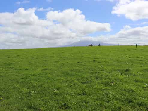 96 Lower Hunter Road, Hawera
