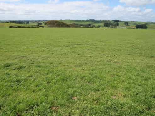 96 Lower Hunter Road, Hawera