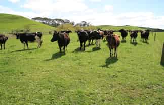 96 Lower Hunter Road, Hawera