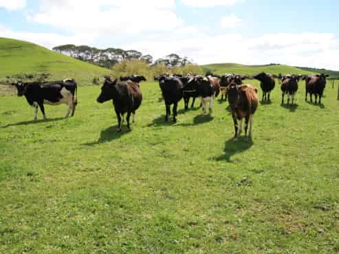 96 Lower Hunter Road, Hawera