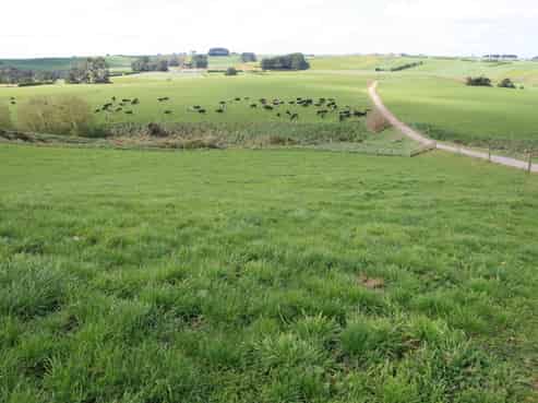 96 Lower Hunter Road, Hawera