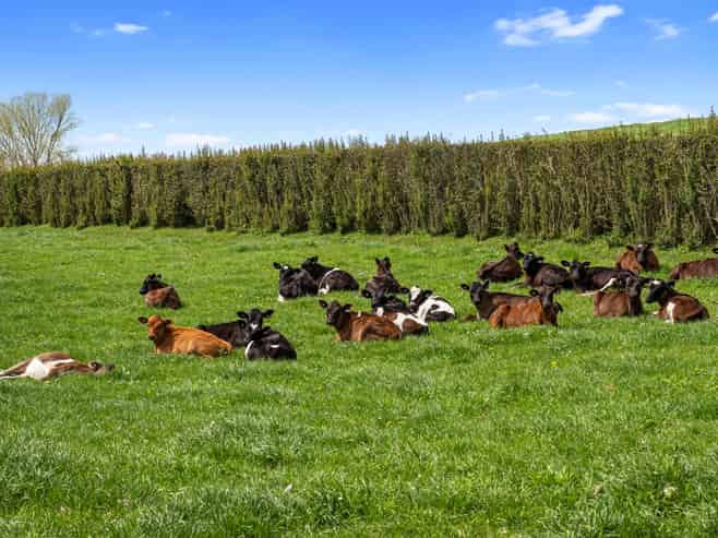 520 Lake Road, Horsham Downs