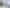 445 Onemana Drive, Onemana