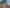 445 Onemana Drive, Onemana