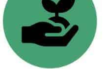 Chemwash Kerikeri: Live the Bay of Islands Lif...