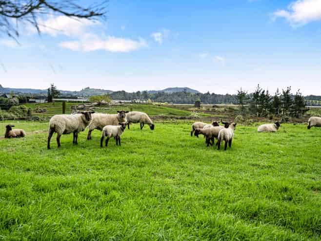 69 Pukakura Road, Katikati