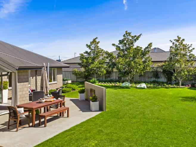 11 Rose Street, Springlands