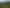 8 Log Race Road, Piha