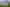 Manawatu / Whanganui - Address withheld