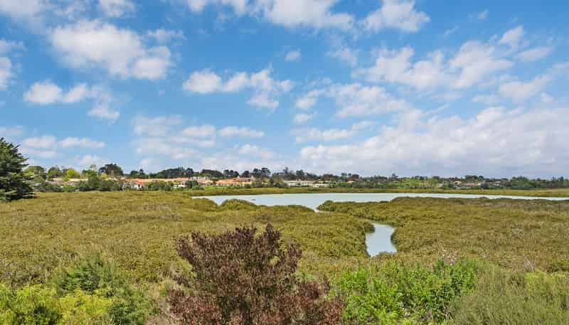 66 Matawhanga Drive, Wattle Downs