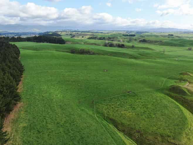 2048 State Highway 50, Ongaonga