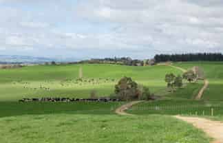 2048 State Highway 50, Ongaonga