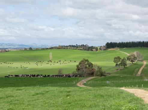 2048 State Highway 50, Ongaonga