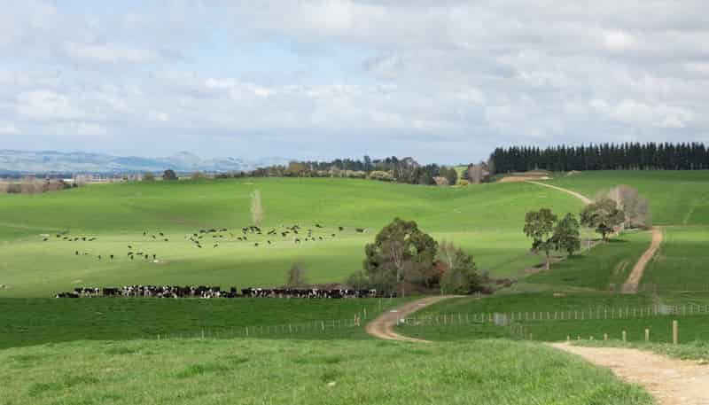 2048 State Highway 50, Ongaonga