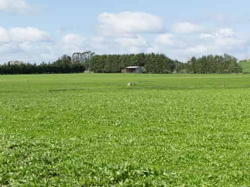 2048 State Highway 50, Ongaonga