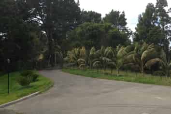 98 Lonely Track Rd, Albany