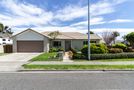 253 Guppy Road, Taradale, Napier City, Hawkes Bay