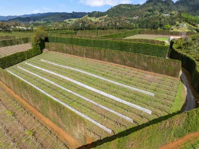 863 State Highway 2, Katikati