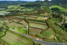 863 State Highway 2, Tanners Point, Western Bay Of Plenty, Bay of Plenty